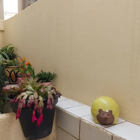 Cocon Confort Avec Parking Gratuit Διαμέρισμα